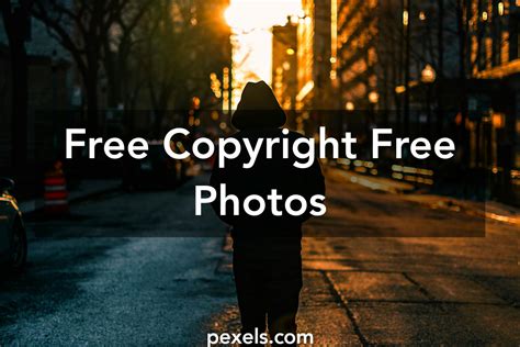 pexels free stock photos|pexels free images no copyright.